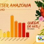 Desmatamento na Amazônia tem queda histórica de 66% em julho