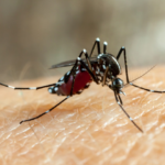 Centro de atendimento para pessoas com dengue começa a funcionar em Salto; saiba como funciona