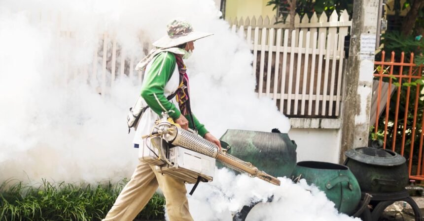 Dengue: fim do verão pode dar trégua na epidemia de 2024?