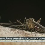 Limeira confirma segunda morte por dengue em 2024 e decreta estado de emergência