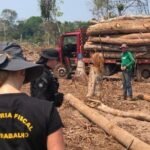 Caminhão com toras de madeira derrubadas por grupo de trabalhadores